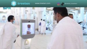 treetan