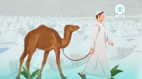 Haji Mabrur